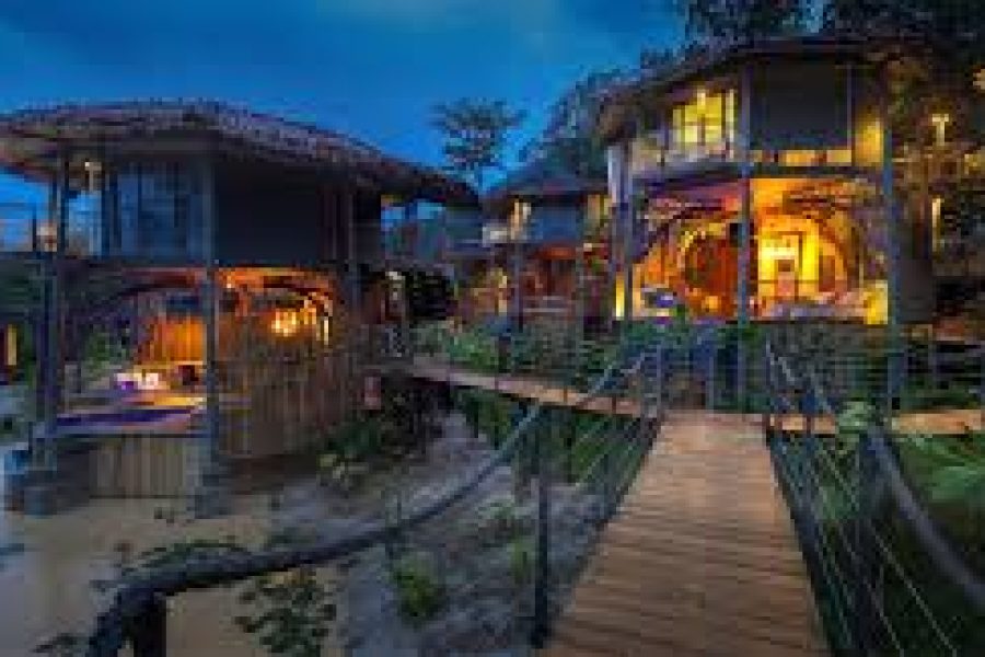 TreeHouse Villas
